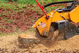 Best Seasonal Cleanup (Spring/Fall)  in Green Meadows, OH