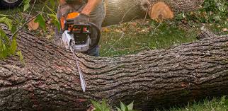  Green Meadows, OH Tree Services Pros