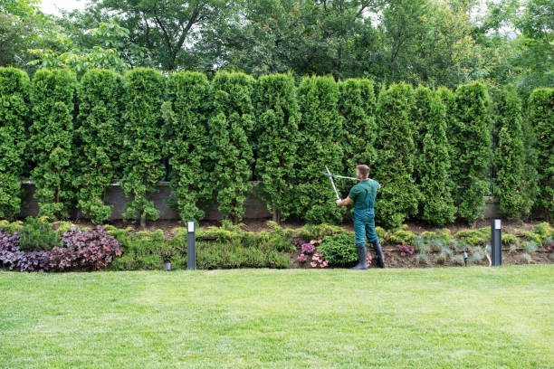 Best Lawn Irrigation Installation and Maintenance  in Green Meadows, OH