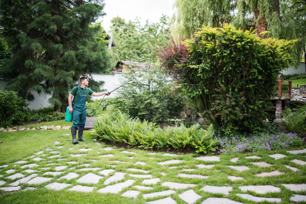 Best Tree Mulching  in Green Meadows, OH