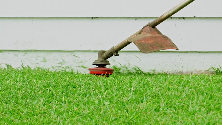 Best Tree Disease Treatment  in Green Meadows, OH